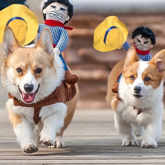 Cowboy Rider Dog Costume - Brown and Yellow - Picture 2 of 5